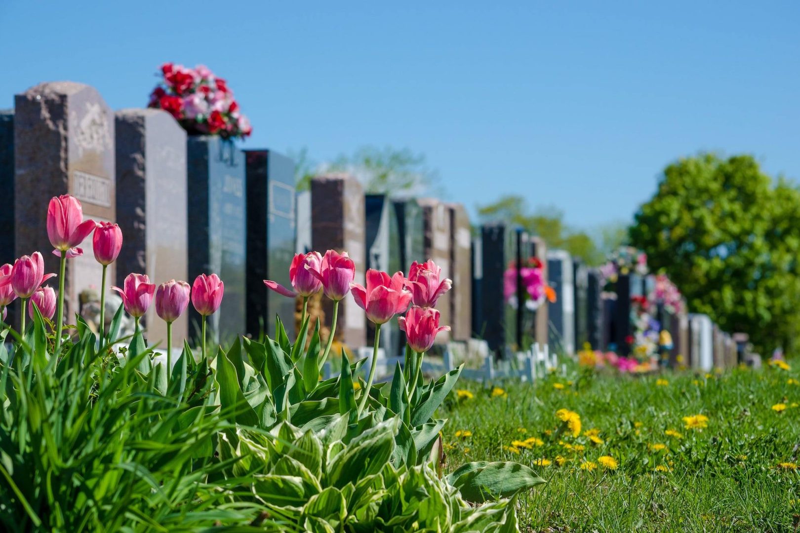 cimetière fleuris